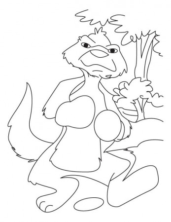 Mongoose the boxer coloring pages | Download Free Mongoose the 