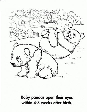 Giant Panda Coloring Pages Giant Panda Coloring Pages Giant 156163 