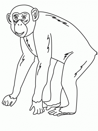 Best Chimpanzee Coloring Page Ready To Be Printed Coloring Page 