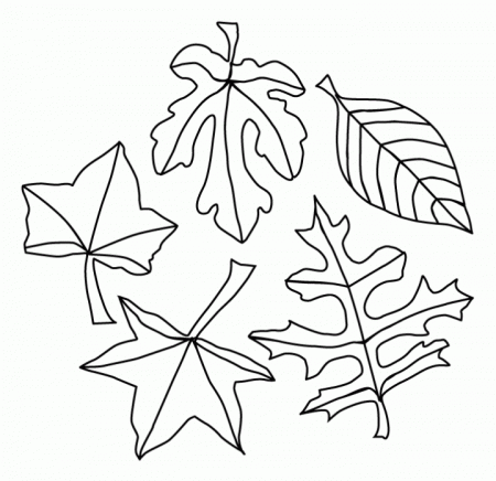 Fall Leaves Coloring Pages | Coloring Pages