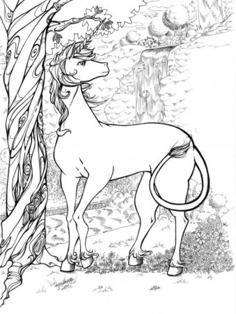 Unicorn Coloring Pages Pictures Fantasy Unicorns Tattoo 221929 