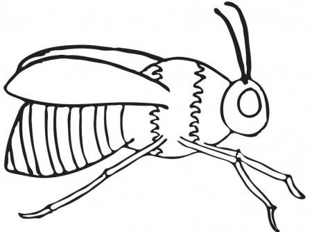 Bumble Bee Coloring Page - Free Coloring Pages For KidsFree 