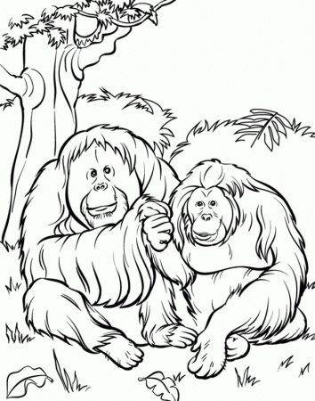 Childprintable Zoo Animal Coloring Pages