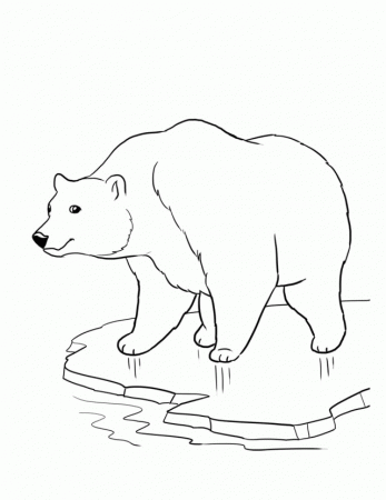 Endangered Animals Coloring Pages – Polar bear | coloring pages