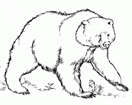 Panda Bear Coloring Pages Coloring Book Area Best Source For 