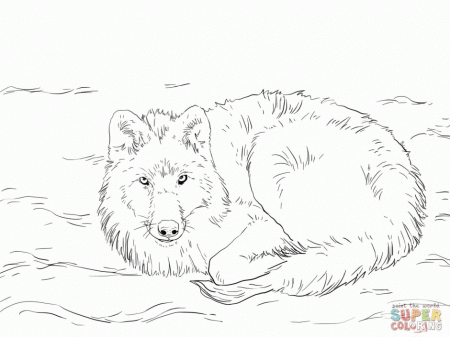 Coloring Pages Draw A Howling Wolf Coloring Pages For Adults 