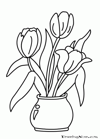 Learn to Draw Tulips | n1putur4tni.