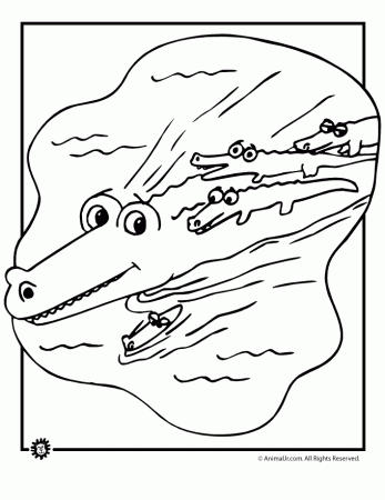 Alligator Coloring Pages For Kids Oceans Word Search Powered By Smf 2