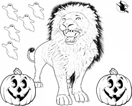 Halloween Cat On Broom Printable Coloring Pages Extra Coloring 