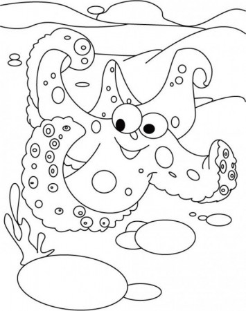 Download Starfish Coloring Pages For Kids Or Print Starfish 166697 