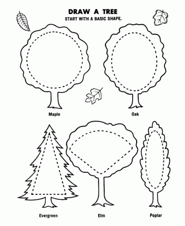 Draw a Tree - Arbor Day Coloring Pages | Urban Tree Canopy | School-A…