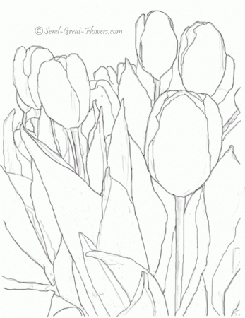 Printable Tulip Coloring Page With Full Color Guide