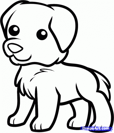 How to Draw a Golden Retriever For Kids, Step by Step, Animals For 
