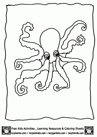 octopus coloring pagelucy learns pages for under