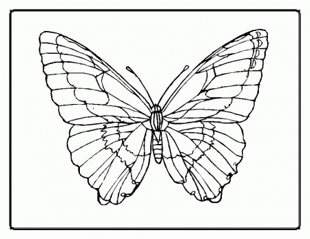 Kids Coloring Flower And Butterfly Coloring Pages Flower And 