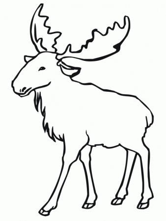 Descriptions Kids Eurasian Elk Moose Coloring Page Has Id 13406 