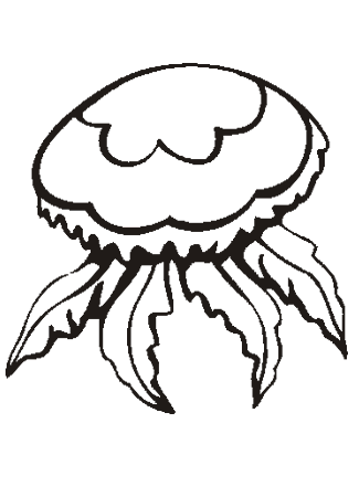 Cute Jellyfish Coloring Pages