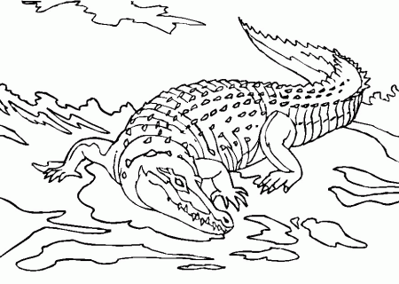 Free Crocodile Coloring Pages | Coloring Pages