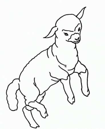 Lamb Color Page | Printable Coloring Pages