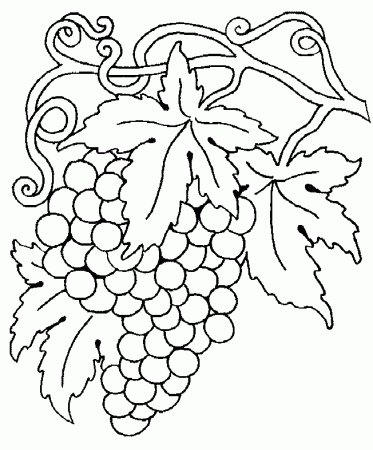 Grapes Coloring Pages - Free Printable Coloring Pages | Free 