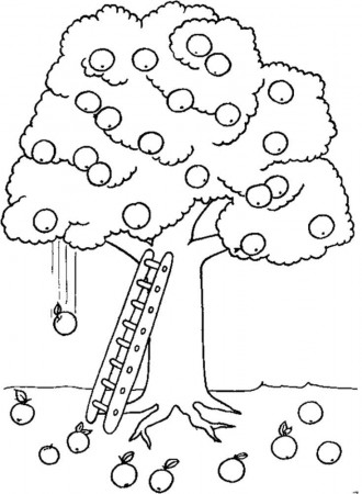 Apple Tree And Ladder Coloring For Kids - Tree Coloring Pages 