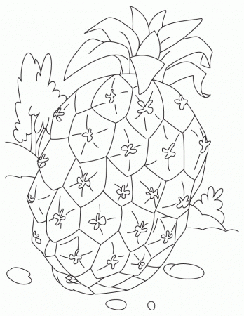 Free Printable Pineapple Coloring Pages For Kids