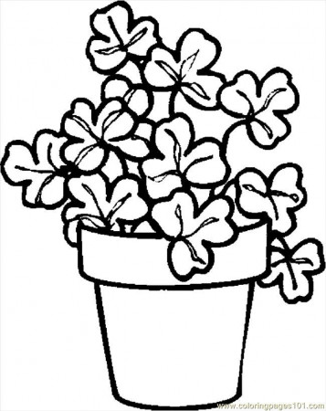 printable coloring page shamrock plant holidays st patricks 