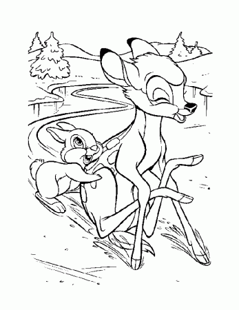 animal habitat Colouring Pages