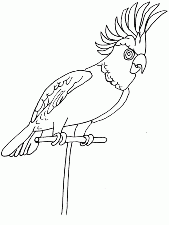 Birds coloring pages | Coloring-