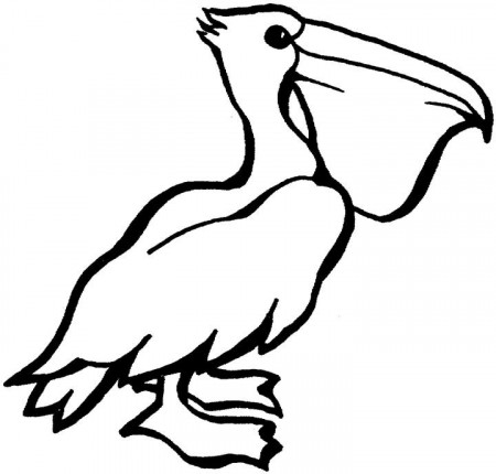 Pelican Coloring Pages | Coloring Pages For Kids
