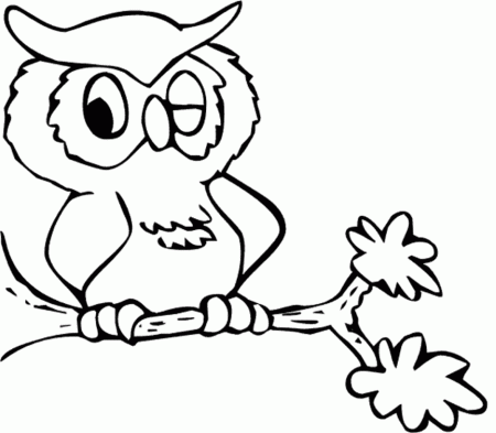 Owl Coloring Pages for Kids- Coloring Book Pages