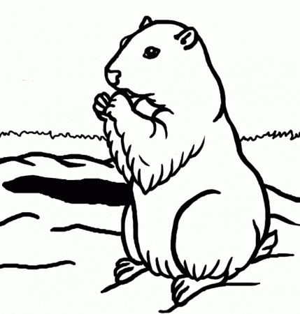A Cute Groundhog The Animal Coloring Kids - Groundhog Day Cartoon 