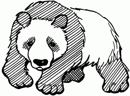 Panda Bear Coloring Pages Coloring Pages 242942 Panda Coloring 