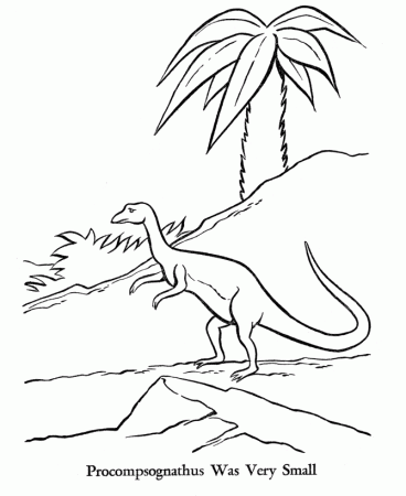 Dinosaur Coloring Pages | Printable Procompsognathus coloring page 