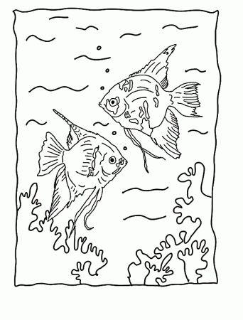 Angel Fish Coloring Pages | Animal Coloring Pages | Printable Free 
