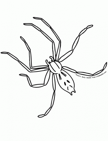 Spider Creepy Coloring Pages Printable - Kids Colouring Pages