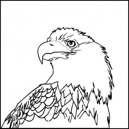 Bald-eagle-clipart- | Patriotic