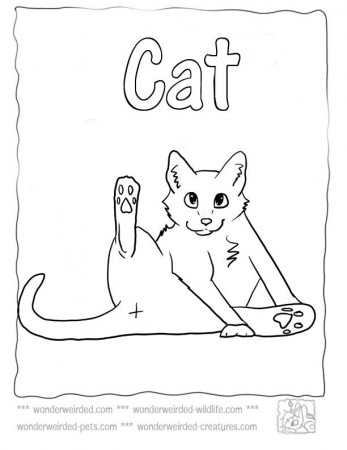 Cat Coloring Page,Echo's Cat Coloring Pictures from Pet Coloring Pages