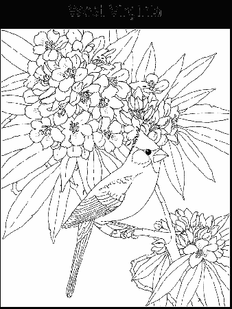West Virginia Flower Coloring Page