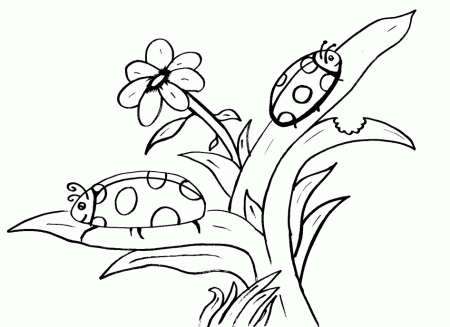 Coloring Pages: Flower Free Printable Coloring Pages