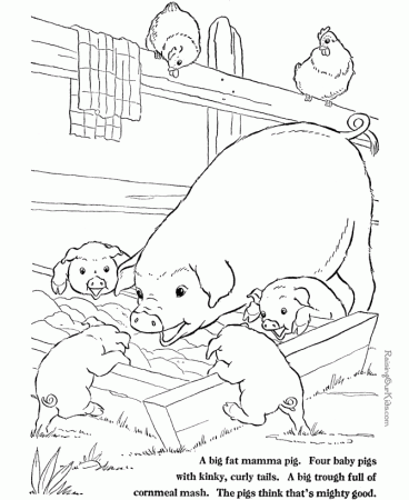 Related Pictures Barn Yard Pigs Coloring Pages Printable Farm 