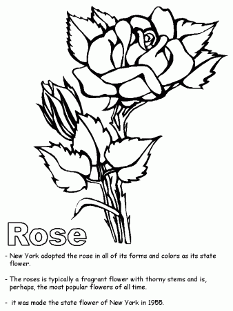 Roses Color Pages | Free coloring pages
