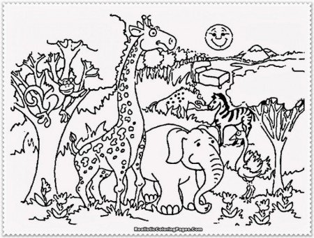 Zoo Animal Coloring Pages Realistic Hagio Graphic 255652 Coloring 