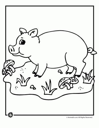 pig coloring pages classroom jr
