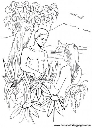 Bible day 6 creation Adam and Eve