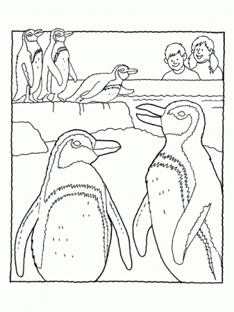 Penguin Coloring Pages (6) - Coloring Kids