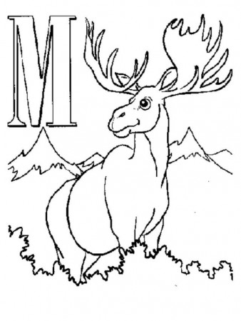 Letter M Moose Coloring Pages | Coloring Pages