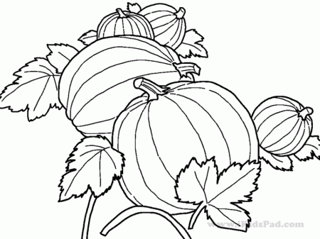Printable Coloring Pages For Kids Fall Printable Coloring Sheet 
