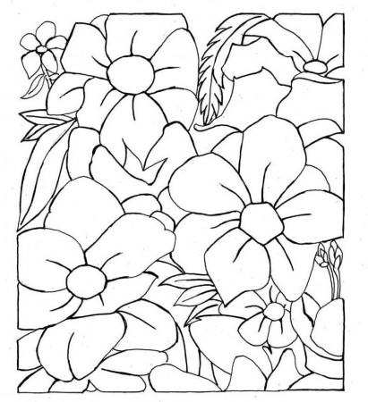 Free Coloring Pages For Adults Printable | Colouring Pages for Adults
