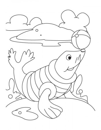 seal with ball Colouring Pages
